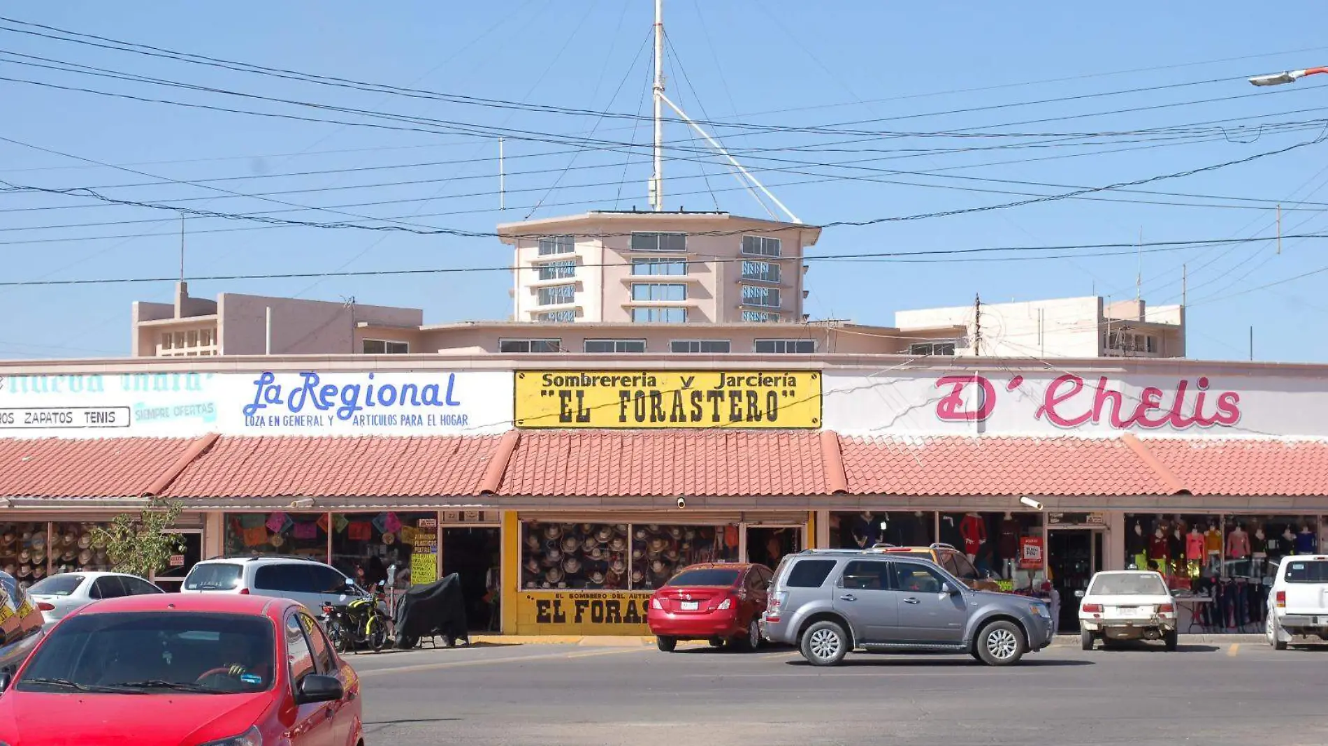 Mercado Juàrez Delicias